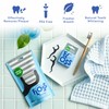 Biodegradable Dental Floss Picks - Charcoal Thread Flossers for Adults