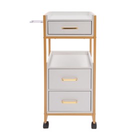 KELIBI Salon Storage Cart, 14*12*34" Barber Shop Tool Cabinet w/Hair Dryer Holder, 176.37LBS Load Free Standing Nail Salons Trolley w/Wheels, 3 Drawers & 2 Open Tier Categorize Salon Station-Gold Grey