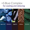 PETITFEE Agave Cooling Eye Patch (60 pieces, 30 pairs) Cool
