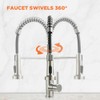 Kitchen Faucet, Kitchen Faucets with Pull Down Sprayer Sus304 Stainless
