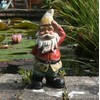 Traditonal Quizzical Gnome Garden decoration, garden gnome …