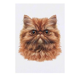 'Persian Cat Front View' Temporary Tattoo - Water Resistant, Skin-Safe, Non-Toxic Transfer (TO00077109)