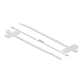 DeLOCK Cable Ties with Labelling Field L 100 x W 2.5 mm White Pack of 10