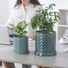 Chubacoo 6 Inch Plant Pot: Ceramic Planter with Drainage Hole