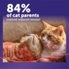 CEVA Animal Health D89410B Feliway MultiCat Starter Kit, 48ml