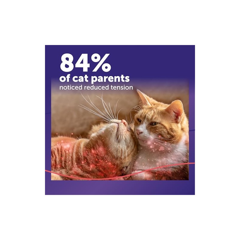 CEVA Animal Health D89410B Feliway MultiCat Starter Kit, 48ml