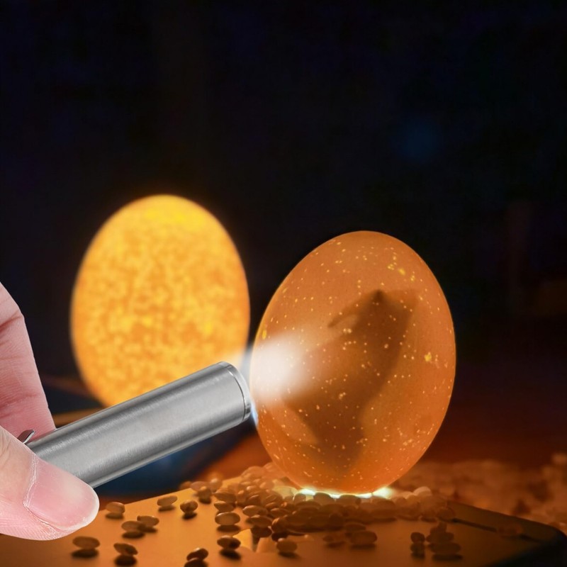 DOITOOL Portable LED Egg Candler, Egg Candling Lamp for Chicken,