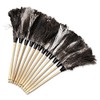 Boardwalk 23FD Professional Ostrich Feather Duster 13-Inch Handle