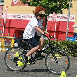 Lion Ski Helmet Cover