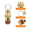 PATIKIL 1/4" Female NPT Safety Valve for Air Compressor Pneumatic