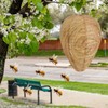 DECYOOL 4 Pack Paper Wasp Nest Decoy Hanging Wasp Nest