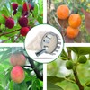 ProLeo Harvest Aid Fruit Picker with Fabric Bag, Apple Picker