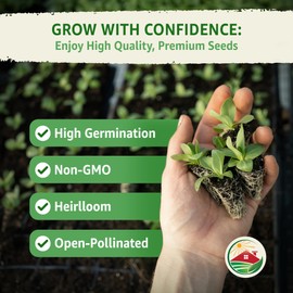 TKE Farms & Gardens - Italian Flat Leaf Parsley Seeds for Planting, 600+ Heirloom Non-GMO Seeds, Perfect for Indoor and Outdoor Gardens, Petroselinum crispum, Qty 1