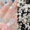 FsGrg ネイルデコレーションアクセサリー ネイルフラワー 5 弁花 複数のサイズ シルバービーズ ネイルパール デコレーションセット 多用途