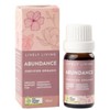 Lively Living Buy Lively Living Abundance Essential Oil Blend 10ml Online