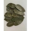 KAHIDJI Soursop Graviola Guyabano 100% Pure Leaves 120 g (