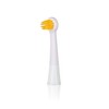 Edel+White Bacterio Target & Focus Brush Heads