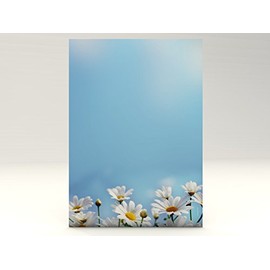 Design Paper Daisy 100 Sheets A4