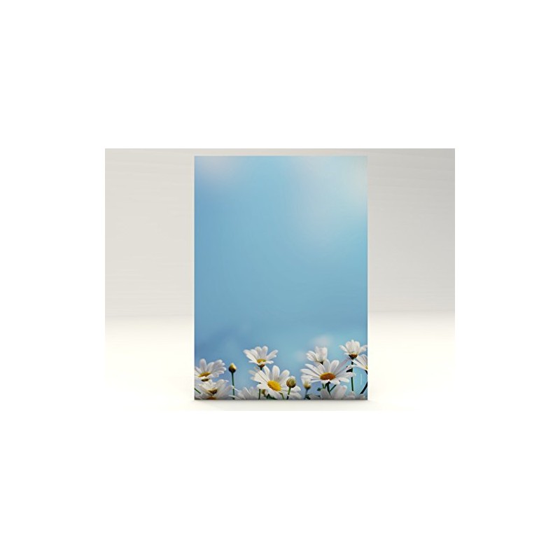 Design Paper Daisy 100 Sheets A4