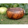 gourd 15 Bushel Gourd seeds; novelty; fun to grow; for