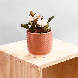 Sill and Sage Shell Pot, Blush, Small