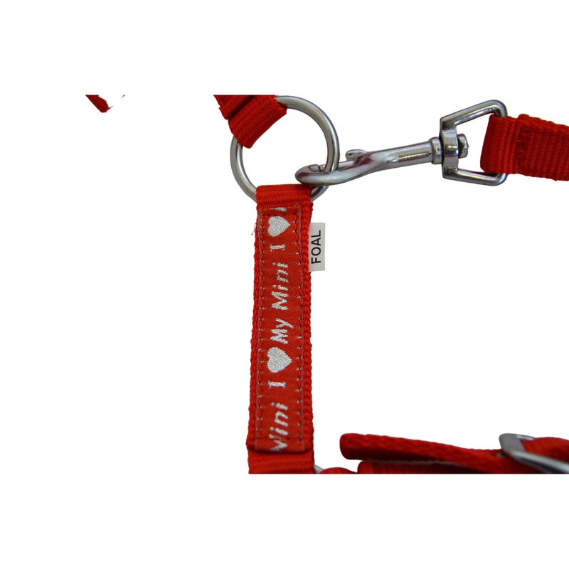 Start ILoveMyMini Foal Noseband Adjustable on Chin & Headpiece Foal
