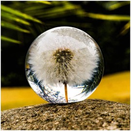 Paperweight Dandelion Dream Ball. Crystal Wishing Ball. Unique Paperweight Made of Dandelion. Gift for Women Men (Mom, Dad, Teacher), Birthday, Wedding, Valentine's Mother's. (8CM)