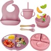 Baby Feeding Set,6 Piece，Baby Led Weaning Supplies with Suction Bowl