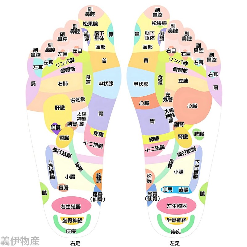 Massage Stick, Natural Wood, Acupressure Pole, Lymph, Compact Size, Made