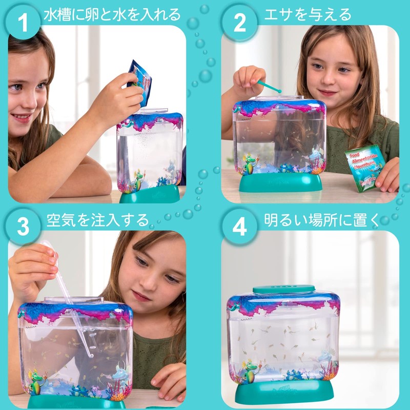 Aqua Dragons Aqua Dragon Breeding Kit Japanese Version Artemia Cultivation