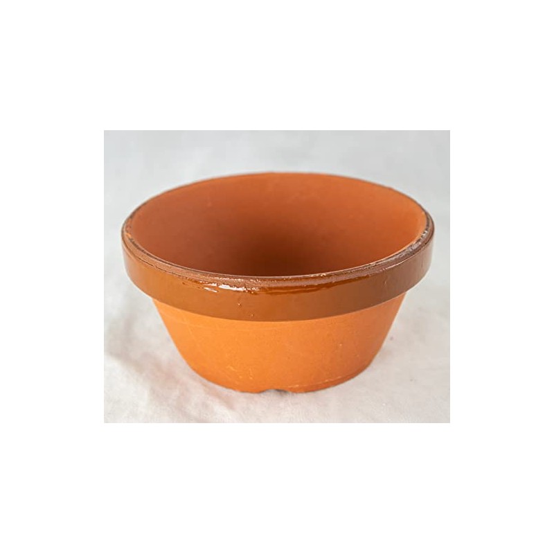 Japanese Tokoname Bonsai Training Pot, Cactus & Succulent Planter with