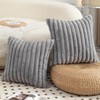 Mandioo Pack of 2 Decorative Throw Pillow Covers Faux Fur