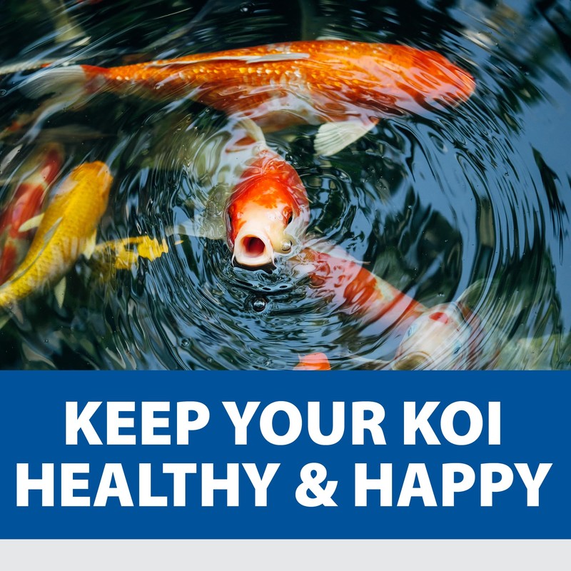 The Pond Guy Pond Salt - 10 Pounds