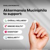 Akkermansia Muciniphila Probiotic Supplement 3 Billion CFU 240 Tablets Probiotics