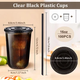 tchrules 100 Set 16oz Plastic Cups with Lids and Straws, Disposable Black Clear Iced Coffee Cup with Lid, Round Bottom Plastic To Go Cups for Cold Drinks Slushie Smoothie Halloween Party Shop Supplies