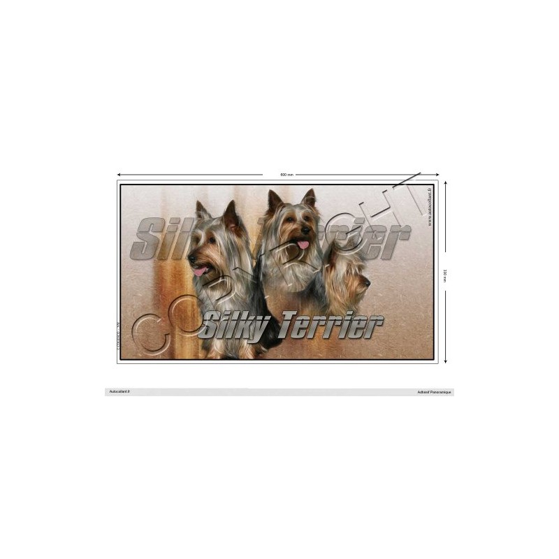 Silky-Terrier Panoramic Dog Sticker 60 cm