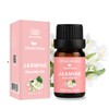 Jasmine Essential Oil for Diffuser – 100% Pure and Natural
