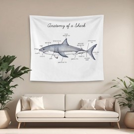 QGFM Shark Tapestry, Shark Wall Decor, Anatomy of a Educational Tapestry Wall Hanging for Classroom Kids Room Bedroom Playroom Decor, Marine Biology Decors, Ocean Classroom Decor, 50x60 Inches