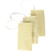 Lufa Esponja de Baño EcoTools para el Cuidado Diario de