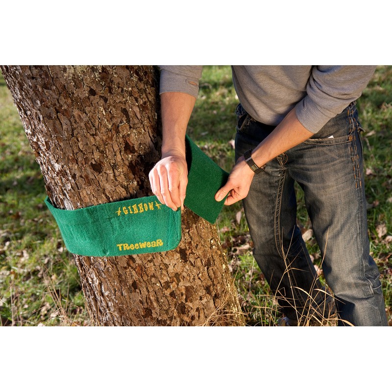 Treewear Slackline Tree Protection green Size:2 x 100 x 14.5