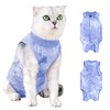 Cat Recovery Suit Post Surgery, Cat Vest Bodysuit Clothes, Kitten