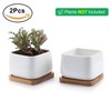 T4U Succulent Planters, Pots with Bamboo Saucers, Rectangular Ceramic Cactus