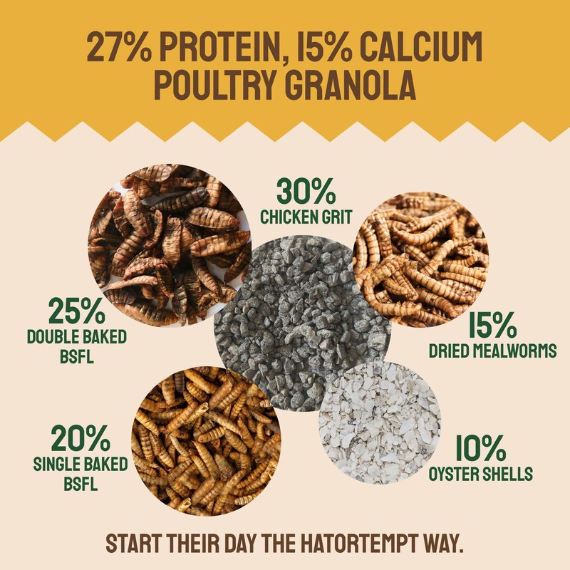 Hatortempt Chicken Feed Granules - 10 lb, Non-GMO - Protein-Rich
