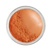 Bodylife Beauty Makeup Natural Mineral Blusher Peaches & Cream 2.5g