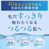 Papa Wash Washing Powder Ginger Scented 2 Piece Set (Ginger)