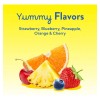 L'il Critters Gummy Vites Multivitamínico Niños 190 Gomitas