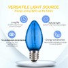 Ruiandsion E12 LED Bulb 110V Blue Screw Base for Display
