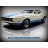 1972 Ford Mustang Sprint New Metal Sign: Original Look in Blue & White, LG. Size