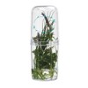 Norpro Fresh Herb Keeper Refrigerator Container Basil Cilantro Etc. 9"