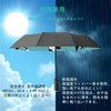 American Panda Folding Umbrella, One-touch Automatic Open/Close, Carabiner Handle, Diameter